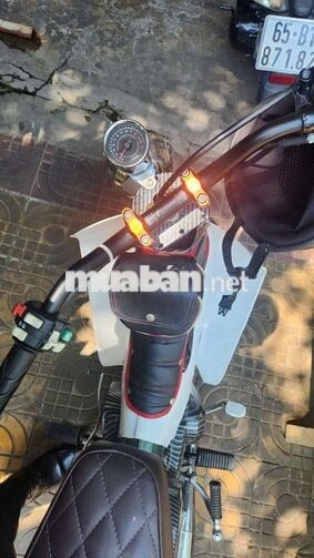Honda Cub kiển Xanh, Trắng Carbon