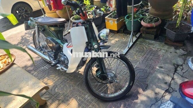 Honda Cub kiển Xanh, Trắng Carbon