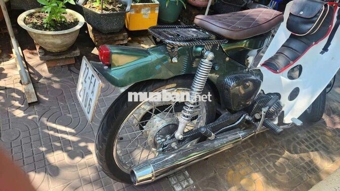 Honda Cub kiển Xanh, Trắng Carbon