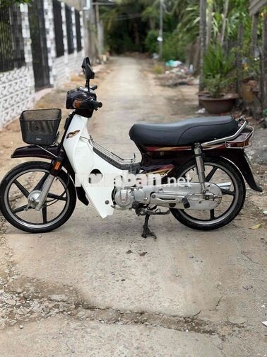 Honda super draem biển 65 ngây chú xe đẹp nguyên z