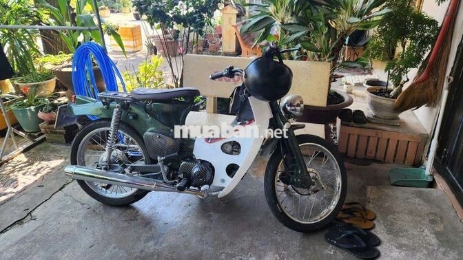 Honda Cub kiển Xanh, Trắng Carbon