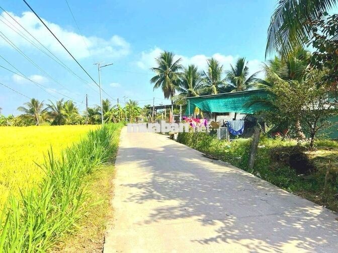 xả lỗ, 300tr sở hữu 115m2 đất thổ đường ô tô Tân trụ
