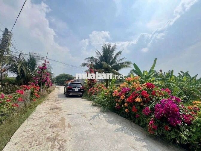 xả lỗ, 300tr sở hữu 115m2 đất thổ đường ô tô Tân trụ