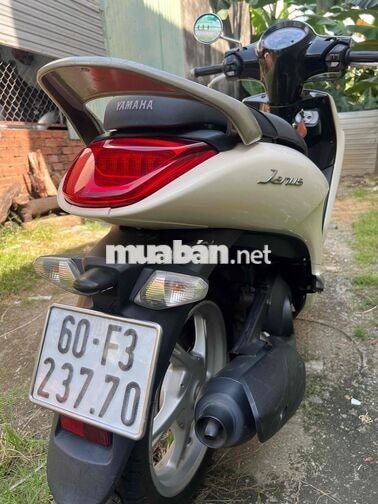 Yamaha Janus 2019 Kem