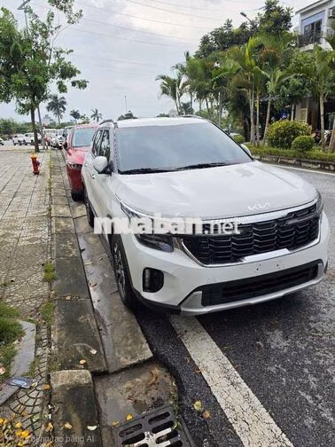 Kia Seltos Luxury 1.5AT 2025 Trắng