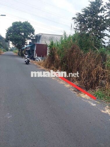 🔥 CHÍNH CHỦ BÁN ĐẤT MTĐ 487 – NHUẬN ĐỨC, CỦ CHI 🔥 Full thổ 130,8m2