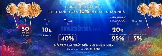 1,36 TỶ ĐỂ SỞ HỮU CĂN HỘ BIỂN – NHƯNG GIÁ TRỊ KHÔNG CHỈ NẰM Ở CĂN HỘ!
