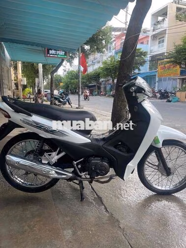 Honda Wave Alpha 2023 Trắng