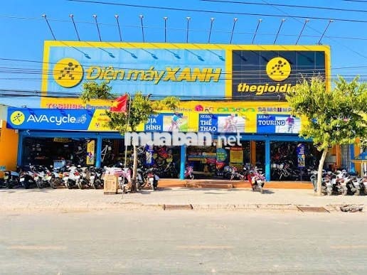 ĐIỆN MÁY XANH BÌNH ĐẠI BẾN TRE TUYỂN DỤNG