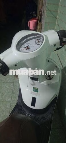 SYM Attila 50cc 2022 Trắng