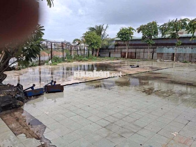 NHÀ XƯỞNG MẶT TIỀN NGUYỄN VĂN QUÁ CHO THUÊ