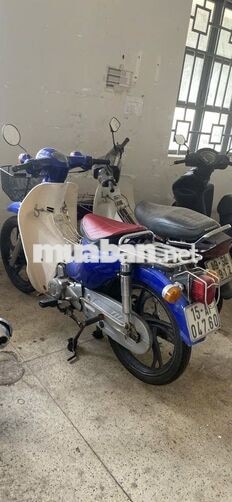 Honda Cup 50cc Xanh