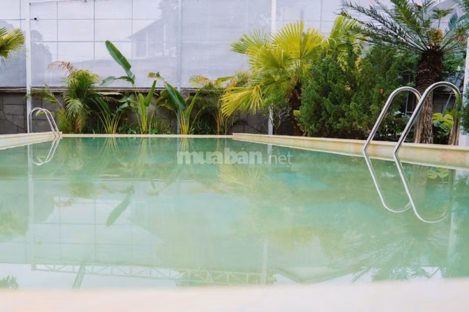 Sang Nhượng 2 Lô Đất Khoáng Nóng Hiếm Tại Ba Vì, Có Sổ Đỏ, 500-1000m2