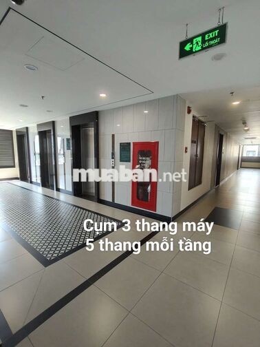Chính chủ CHO THUÊ CĂN HỘ CAO CẤP 2PN PICITY y như hình