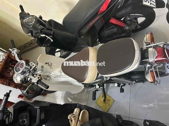 Cup 50cc Xám.Đời 2024