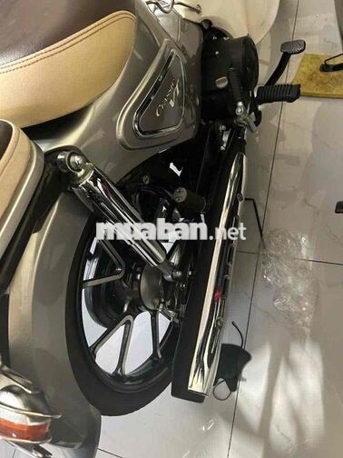 Cup 50cc Xám.Đời 2024