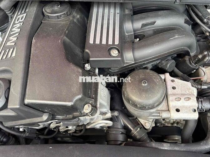 BMW 320i 2009 màu Hồng