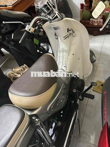 Cup 50cc Xám.Đời 2024