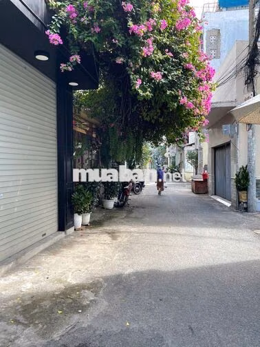 Cho thuê nhà nguyên căn đường Lê Văn Sỹ, Phú Nhuận, 5mx25m, DTSD 250m2