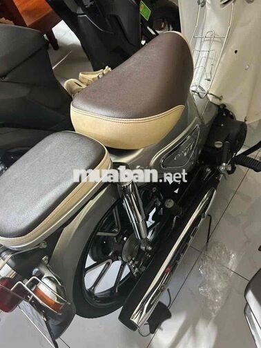 Cup 50cc Xám.Đời 2024