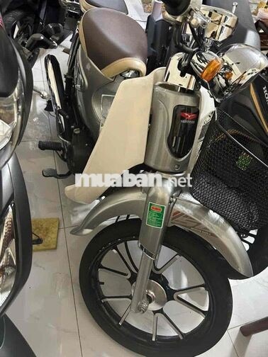 Cup 50cc Xám.Đời 2024
