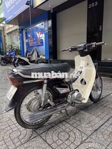 Honda Dream Thái Đen, Trắng