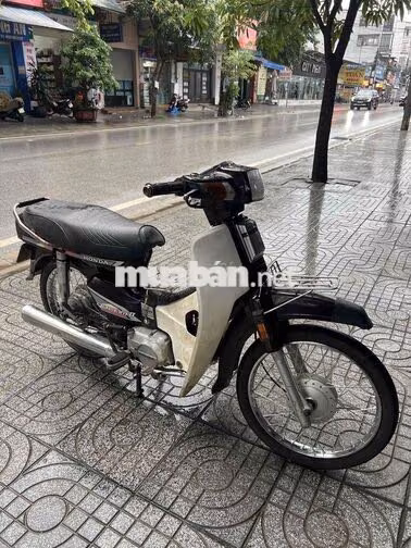 Honda Dream Thái Đen, Trắng