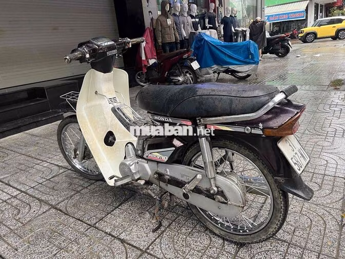 Honda Dream Thái Đen, Trắng