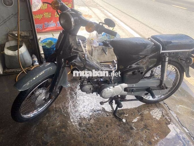 Honda Cúp 70 Xám