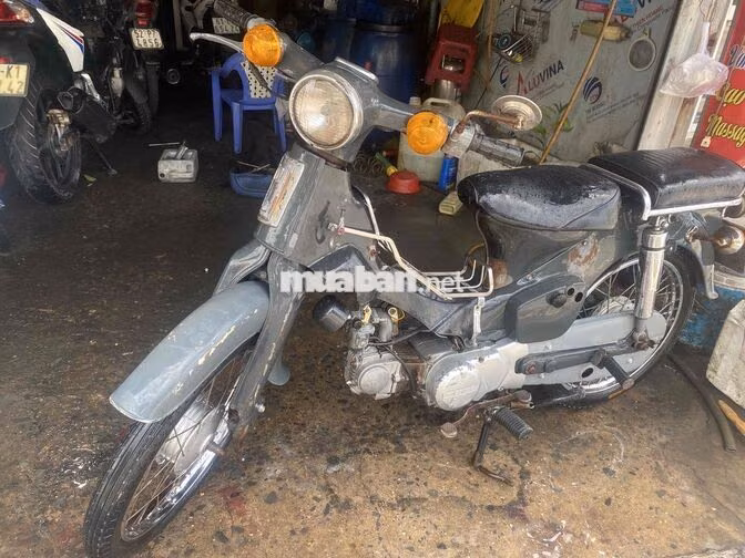 Honda Cúp 70 Xám