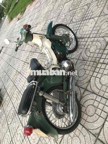 Honda Cub Xanh Lá