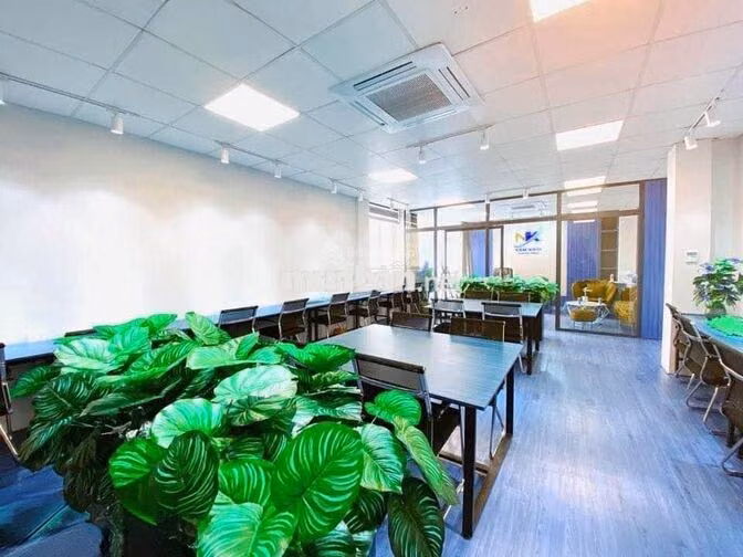 Cho thuê văn phòng Trần Quang Diệu, 75m², view đẹp, giá 15tr/th