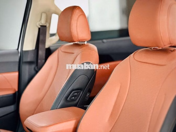 Kia Carnival 2.2D Signature 2024 Trắng 30000 km