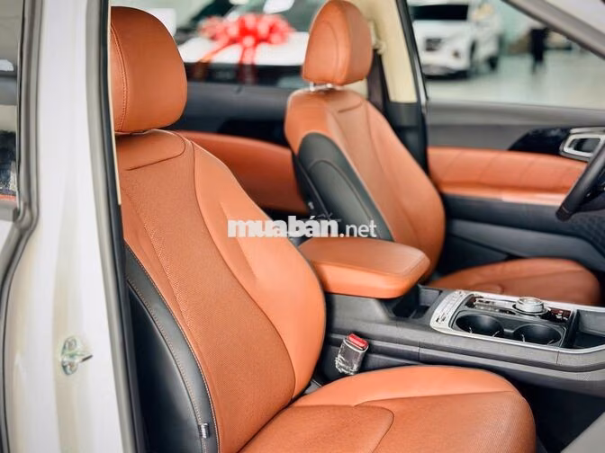 Kia Carnival 2.2D Signature 2024 Trắng 30000 km