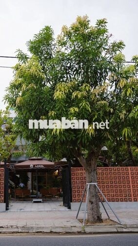 CHO THUÊ MẶT BẰNG VĂN PHÒNG KHU VỰC HÒA XUÂN, ĐÀ NẴNG