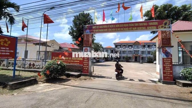 Chính chủ bán 1001m2 đất Full hồng, mặt tiền bê tông Xuân Đông. hh 2%