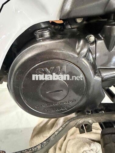 SYM Elegant 50cc 2018 Xanh 16561 km