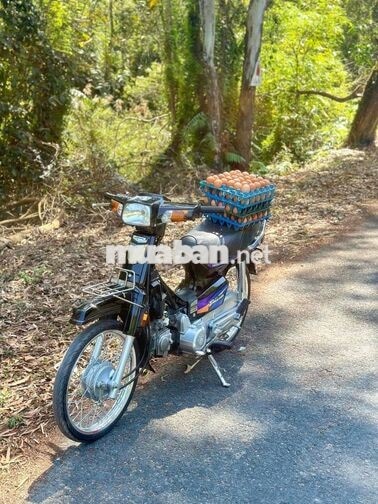 Honda Dream 2000 Đen