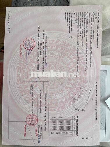 Đất 4 héc ta mặt tiền đường lớn 20 mét