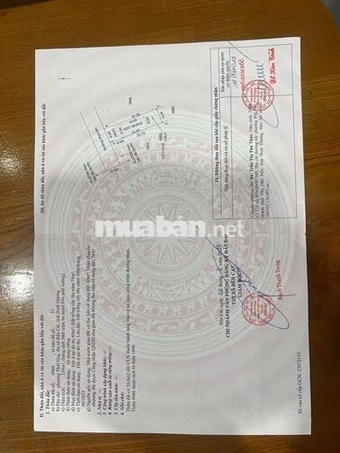 Chỉ 1 tỷ 550 Sở hữu đất nền sát Đại học Việt Đức  Ngang 6m cực thoáng