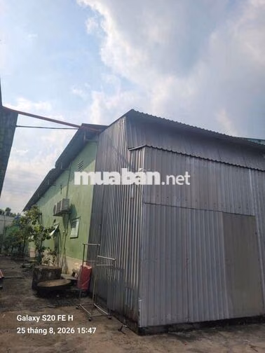 💫Cho thuê xưởng DT 1000m Có PCCC Điện pa pha
