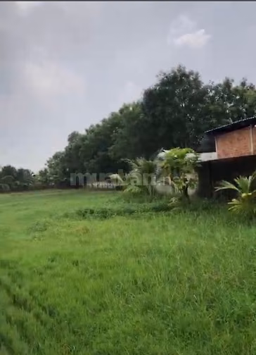 Cho thuê 4.000m2 đất mặt tiền dường 572 xã Trung Lập Hạ, Củ Chi