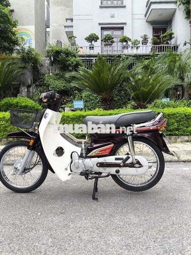 Honda Dream II Nâu Xăng