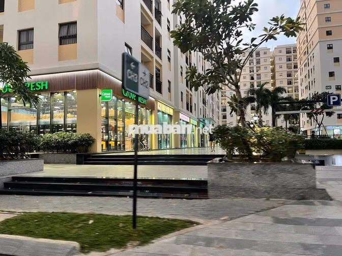 CHO THUÊ SHOPHUSE chung cư cityland 66m2-100m2-114m2