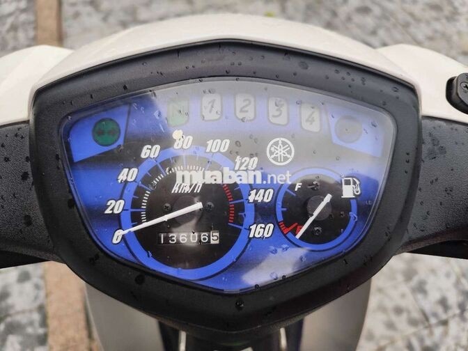 Yamaha Sirius 2021 Trắng 13605 km