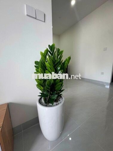 CĂN ĐẸP HIẾM GIÁ 7TR – 1PN 47M² FULL NỘI THẤT TẠI A&T SKY GARDEN