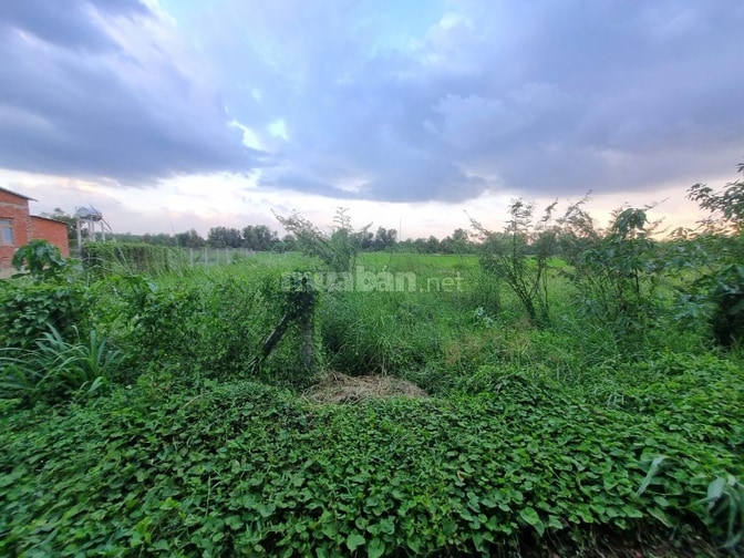 6x35 full thổ. Đường thông. Gần cổng chính KCN. 390tr