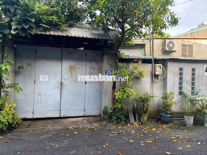 CHO THUÊ KHO XƯỞNG 11×20M – XUÂN THỚI THƯỞNG - HOCMON - GIÁ: 10 TRIỆU
