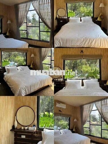 🌿 CHO THUÊ VILLA DÀI HẠN – SỐNG GIỮA KHU VƯỜN 10.000M² 🏡