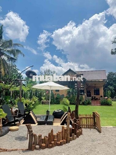 🌿 CHO THUÊ VILLA DÀI HẠN – SỐNG GIỮA KHU VƯỜN 10.000M² 🏡
